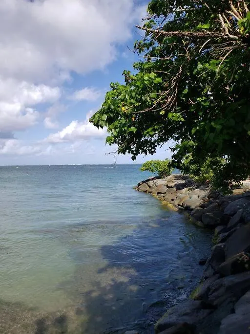 Vacation Villas Dorado P.R Puerto Rico
